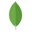 MongoDB