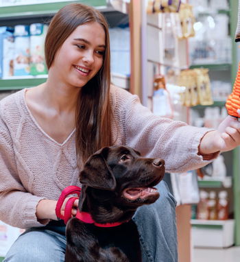 Pet Supplies & Care Ecommerce Development